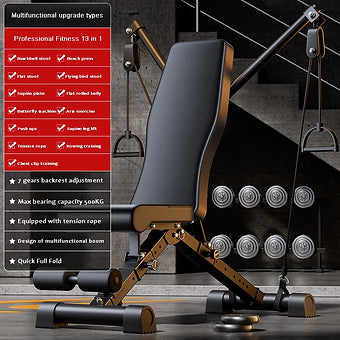 Dumbbell Fitness Chair, Bench Press, Sit up Assist Equipment, Barbell, Bird Stoo